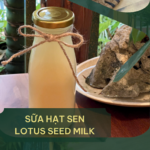 SỮA HẠT SEN
